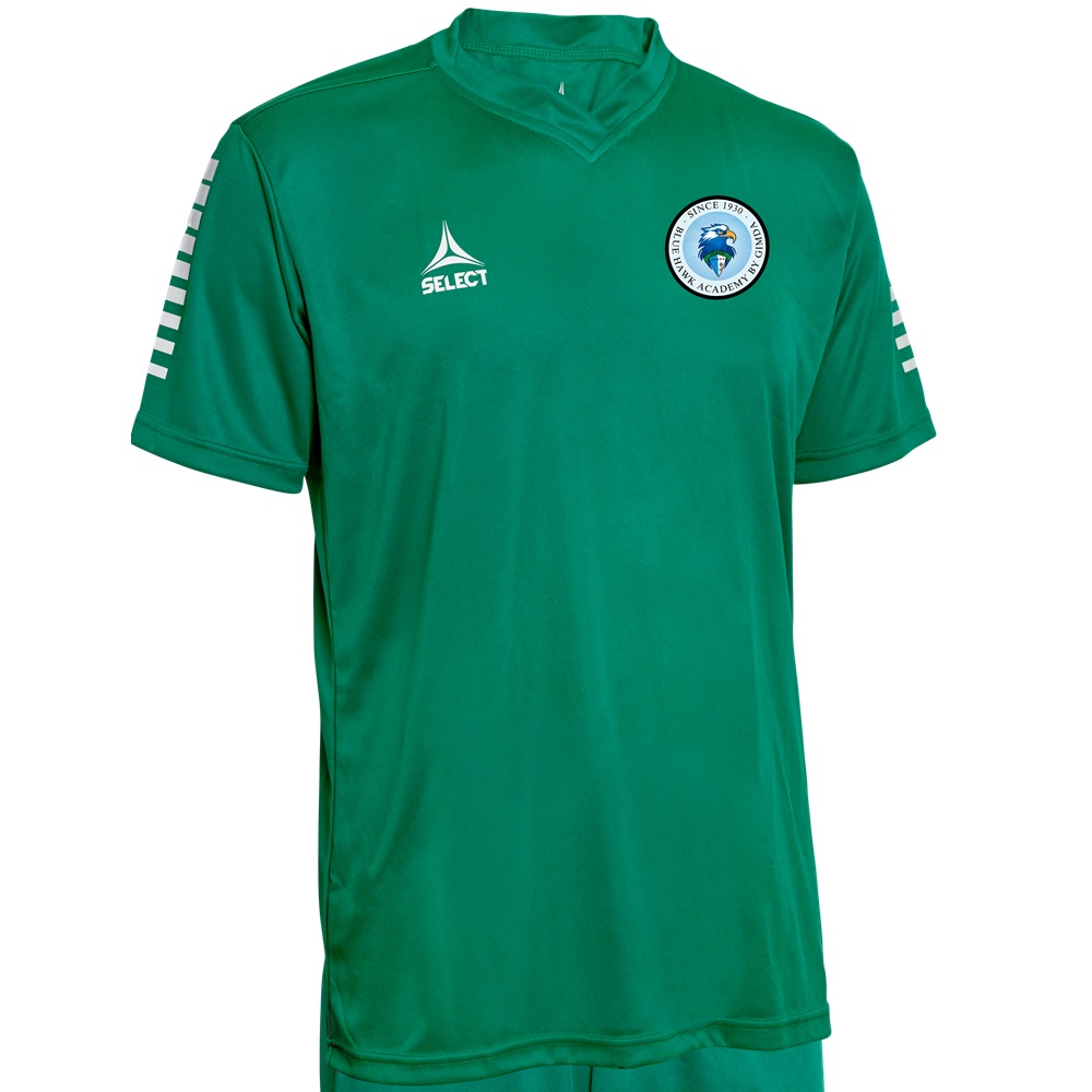 CAMISOLA PISA VERDE ACADEMIA GUARDA REDES